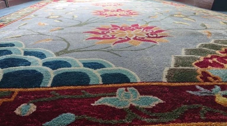 How To Get Rid Of Carpet Beetles